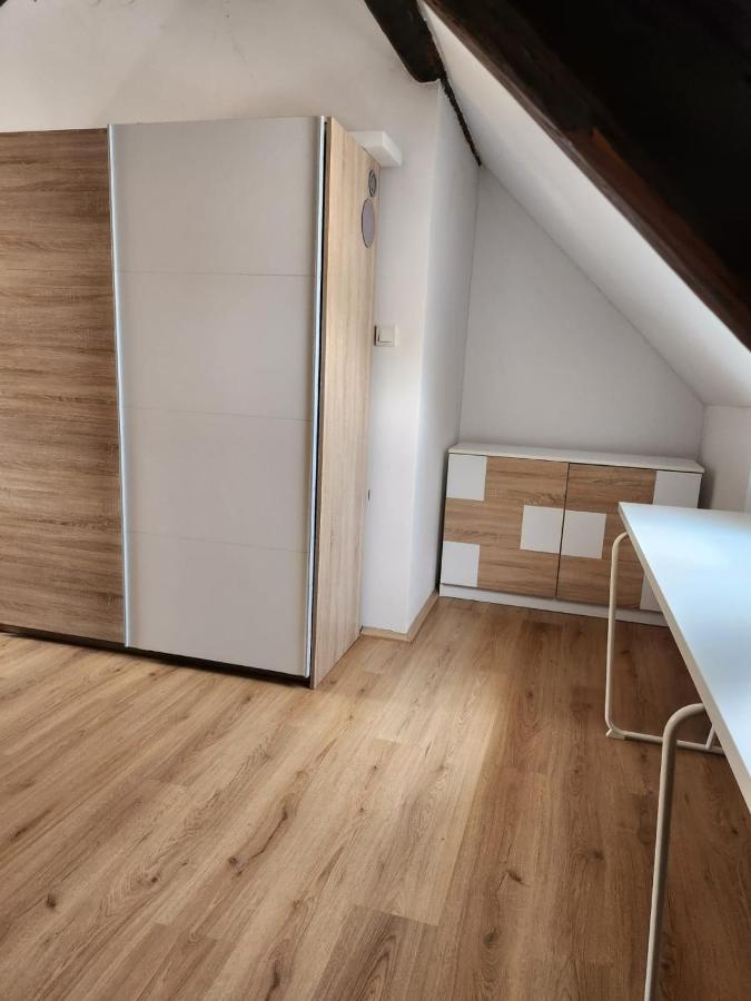 דירות זאגרב Apartman Buzanova 001 מראה חיצוני תמונה