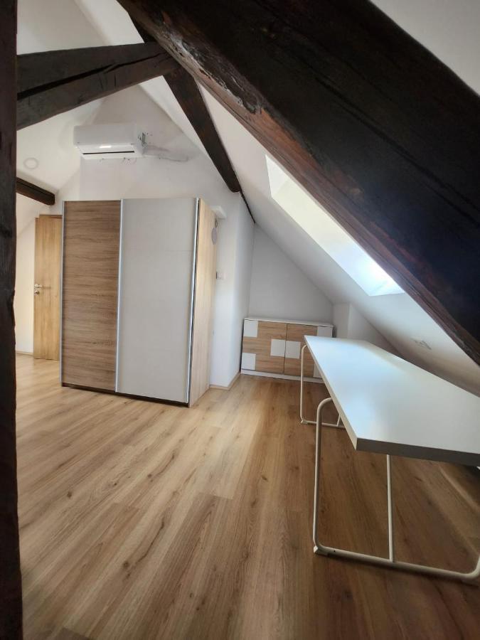 דירות זאגרב Apartman Buzanova 001 מראה חיצוני תמונה