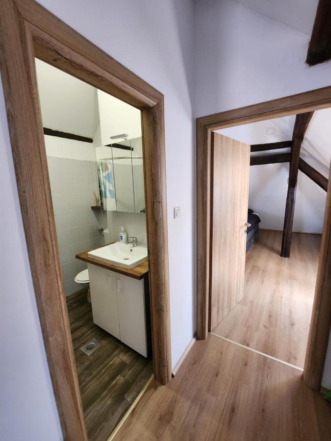 דירות זאגרב Apartman Buzanova 001 מראה חיצוני תמונה